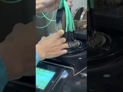 12 ίνες OM3 10Gig MTP MPO καλώδιο, καλώδιο κορμού MPO - MPO 12 F.O. OM3 15 Mts