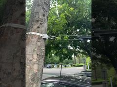 Σφιγκτήρας αγκύρωσης καλωδίου οπτικών ινών FTTH για καλώδιο ADSS 8-12mm